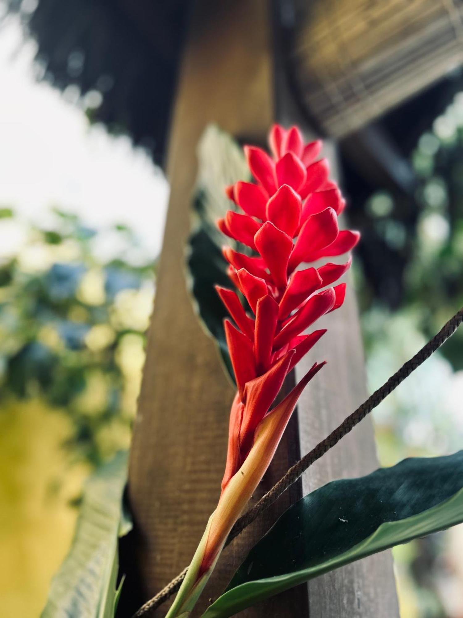 Pousada Velha Boipeba 外观 照片